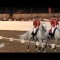 The World Famous Lipizzaner Stallions