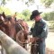 Pro Rodeo’s Mike Outhier Rides With Equine VIP