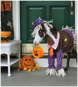 Cloudburst is Ready to Trick or Treat!
