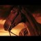 “War Horse” Movie at a Theatre Soon