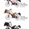 pony pal bikes pony pal bikes