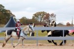 Full Metal Jousting - low res Full Metal Jousting - low res