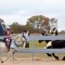 Full Metal Jousting - low res Full Metal Jousting - low res