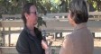 Equine VIP Gets Tweeked By DVM & Horse Chiro Tina Stewart