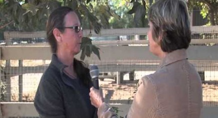Equine VIP Gets Tweeked By DVM & Horse Chiro Tina Stewart