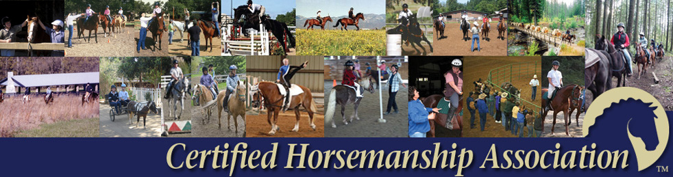 Learning Horse Basics