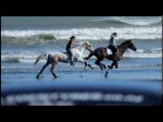 Free Riding Horses At The Beach