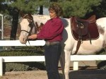 Horse Safety Check List